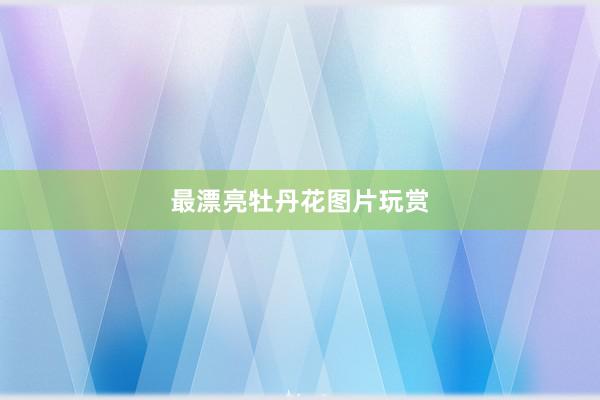 最漂亮牡丹花图片玩赏
